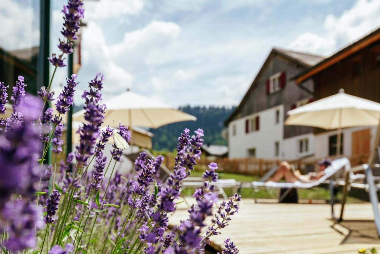Hirschen Wohlfuehlhotel Schoppernau Exteriör bild